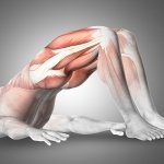 The best butt and leg workout without weights