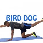 How to Do Bird Dog