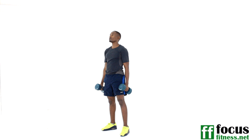 11-Minute Fat-Blasting Full Body Dumbbell Workout at Home 8 How to do Dumbbell Front Raises