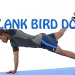 How to do Plank Bird Dog
