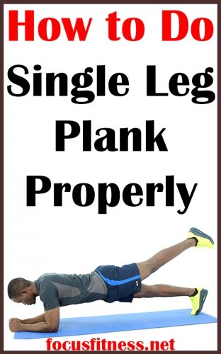How to Do Single Leg Plank Exercise Properly 3 If you want to build extraordinary core strength, this article will show you how to perform the single leg plank exercise properly #single #leg #plank #focusfitness