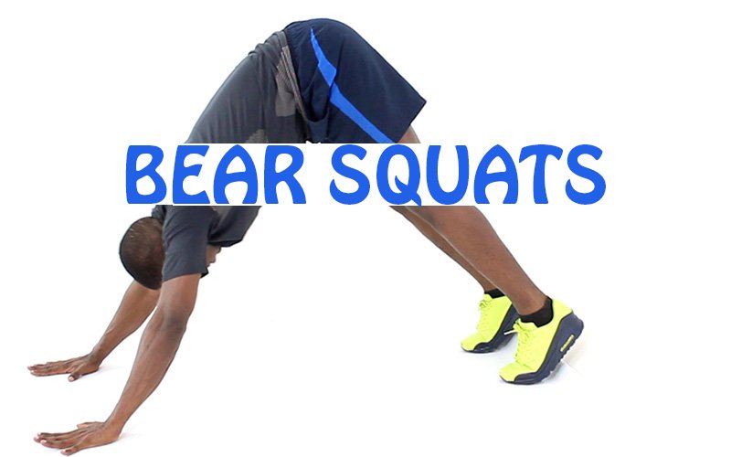 How to do Bear Squat