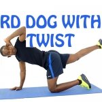 How to do Bird Dog with a Twist