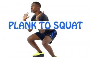 How to do Plank to Squat