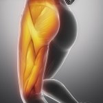 Best Exercises for the back of the thighs
