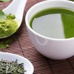 Green tea while fasting
