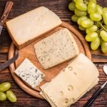 dairy protein foods like cottage cheese and yogurt | slow digesting protein foods