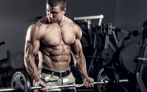 Bodyweight Exercises for Beginners: A Simple Guide to Start Working Out 2 Best Bodyweight Exercises for Beginners