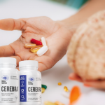 Cerebra