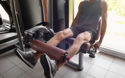 Blog 69 best leg extension machines