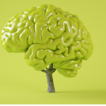 Natural Nootropics