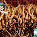 best ginseng supplements