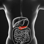 Person experiencing stomach pain after taking bile salt supplement | bile salts side effects