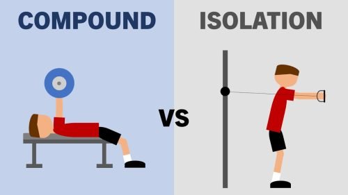 Blog 43 Compound vs Isolation Exercises