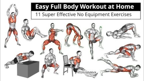 Blog 46 Full Body Bodyweight Workout at Home (Beginner to Advanced Guide)