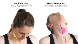 Benefits of Neck Curls Exercise 2 Neck Curls Exercise: How to Strengthen Your Neck Safely - benefits of neck curls exercise