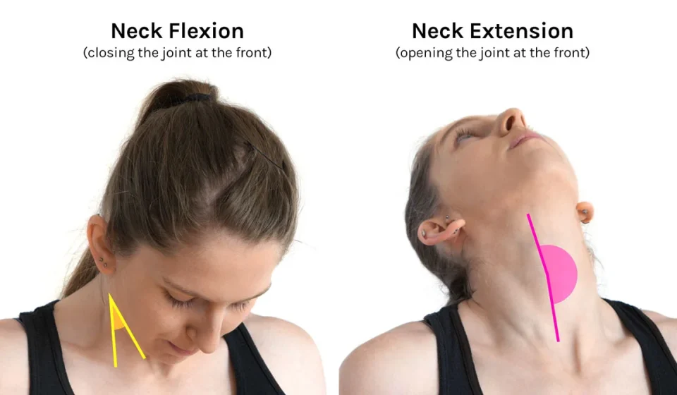 Neck Curls Exercise: How to Strengthen Your Neck Safely